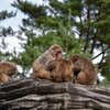 「私ネガティブなんで」とライトに言われた