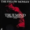 THE YELLOW MONKEYのDVDを総まくる！その４&quot;TRUE MIND TOUR‘95-’96 FOR SEASON in motion&quot;