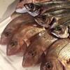 本日の漁港直送の魚たち