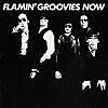 Now | The Flamin' Groovies