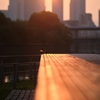 Argus Cinter 135mm 2.8 試写