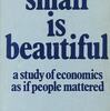 【第367回】　small is beautiful ~ 石油ショックからSDGsへ