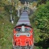 紅葉の時期に石北本線でDD51牽引の貨物列車を追っかけてみる(後編)