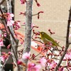 投資・運用実績：2026年2月　最高額更新！
