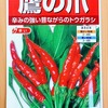 自家製ラー油を作るために「トウガラシ」を水耕栽培します。発芽するまでは電気毛布で保温です