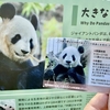 パンダの年パス　今日まで