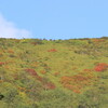 紅葉が進むニペ・前天狗①（9月1日）