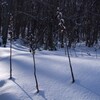 79．自然を詠んだ歌（７）雪景色