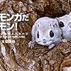 モモンガがかわいい。可愛いのだよ！『モモンガだモン！～北の森からのメッセージ～』の紹介