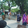 鶴岡八幡宮の例祭三日目は、流鏑馬（Horseback  Archery ） を見物に