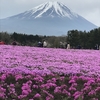 ☆お花　＆　景色　また行ってみたい所　＆　猫