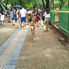 夏休みなにわ旅行記・２