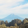 今朝の景色