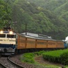 ②大井川鐵道遠征 EL国鉄色編