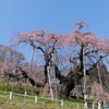 三春滝桜～つくば市とその周辺の風景写真案内（7）