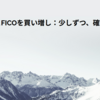 GOOGLとFICOを買い増し：少しずつ、確実に積み上げる