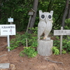 【山県市】大黒山（499m）展望台のフクロウに会いに行こう。