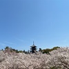 2023年4月の風景その１　🌸桜🌸