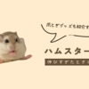 ハムスターの爪が長いときの対処法は？爪とぎのおすすめも紹介