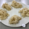 「玄米の味わいを言葉で表現するワークショップ」その１・完