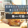 挨拶状ドットコムで年賀状印刷を注文したら嬉しいポイントが色々♪