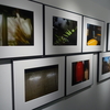 【写真展】R3.5/11～5/16＿加藤俊樹「失語症」＠gallery solaris