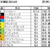 京都記念（GⅡ）、共同通信杯（GⅢ）予想