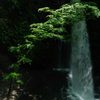 草木湖に隠れた不動滝へ
