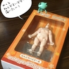 やっと届いた「ねんどろいどどーる」