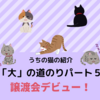 【うちの猫｢大｣の道のりパート５】里親探し編②譲渡会デビュー！