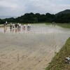 「つなぐ棚田遺産」