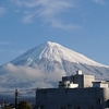 雪が積もる