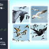 Bird Flock Bundle　群れを成した鳥たちが高層ビルの隙間を飛ぶ！圧倒的スケールを表現するスクリプト！＆6種類の鳥の3Dモデル