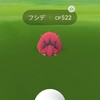 イッシュ地方のポケモンをゲットしました！