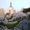 千鳥ケ淵公園の桜