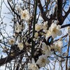 激烈な腹痛の原因は…