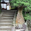 曼殊院、金福寺