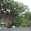 屋久島飲食店盛衰現代記 ⑥ 尾之間・小島・平内・湯泊・中間・栗生