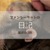 【日記】最近のうちの子記録