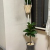 週末のあれこれ