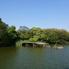 百舌鳥古墳群散策２　～古市の誉田御廟山古墳 から遠く離れた河内王朝王墓の謎～