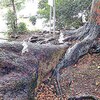 静岡県磐田市のパワースポット東福山・西光寺