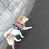 祝日だった、だよ