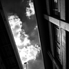 記録写真#598　浴びる青空