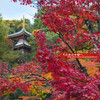 今熊野観音寺