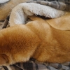 入っているようで、はみ出てる、だよ