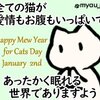 ハッピーミューイヤー　1月2日はHappy Mew Year For Cats Day