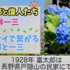 「佐久の季節便り」、「ヒメアジサイ」で繋がる、牧野富太郎と小林一三…。