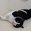 今日のマヤ暦。kin16 正直さ、実直さで信頼が増す日