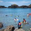 越前松島水族館の「磯の生物観察会」に4歳児と参加してきた